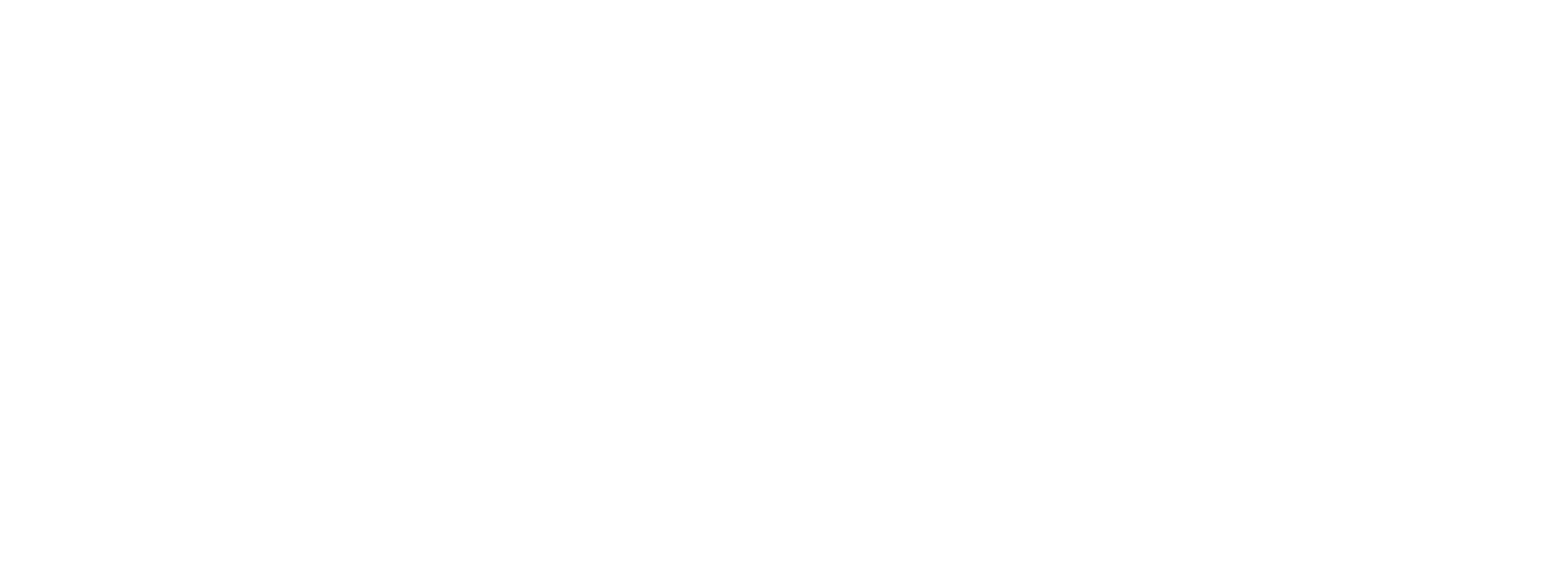 NLS France : Limo service in French Riviera with private driver